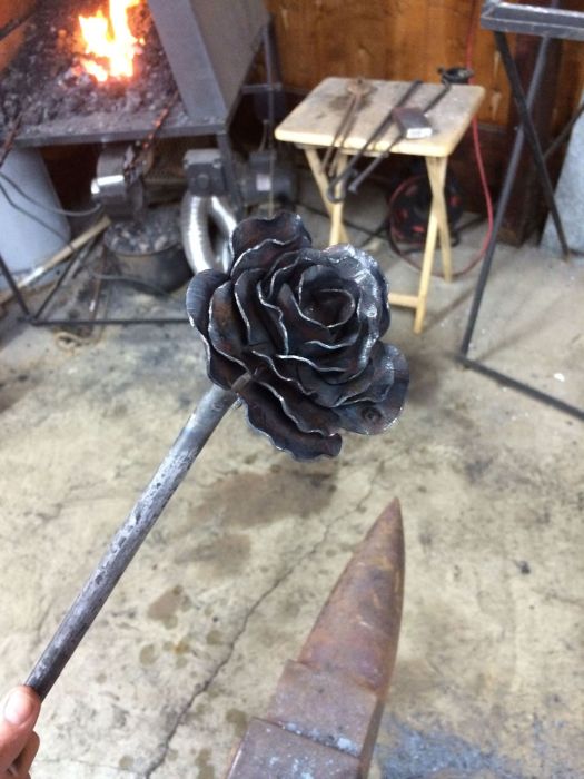 Steel Rose (14 pics)