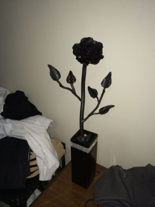 Steel Rose (14 pics)