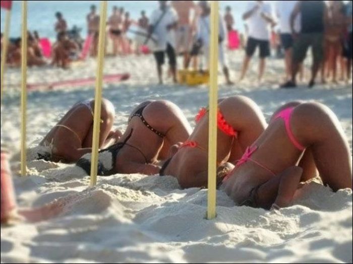 Bikini Girls, More Than One in Every Picture! (42 pics)