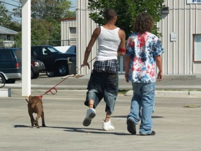 Pull Your Pants Up (54 pics)