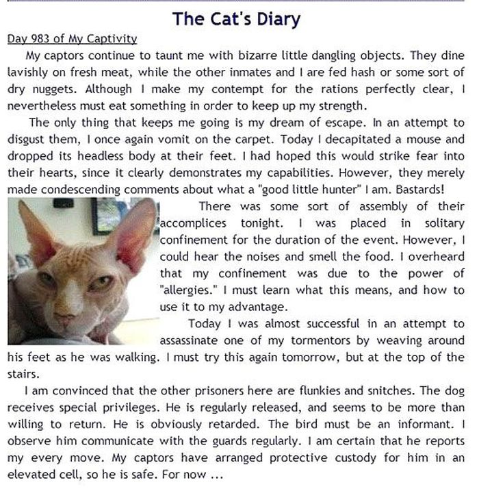 Your Pets' Diaries (4 pics)