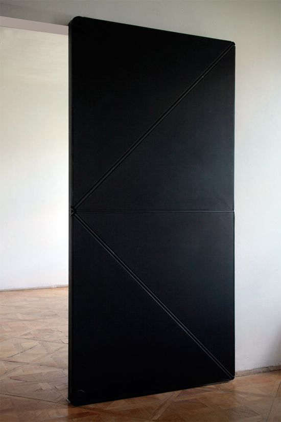 Evolution Door is the Coolest Door Ever (3 pics)