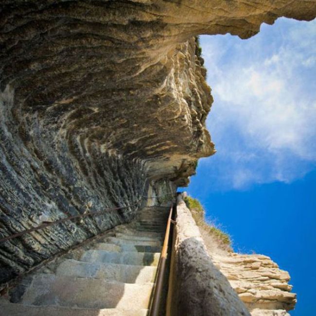 Things You Will Struggle to Believe (44 pics)