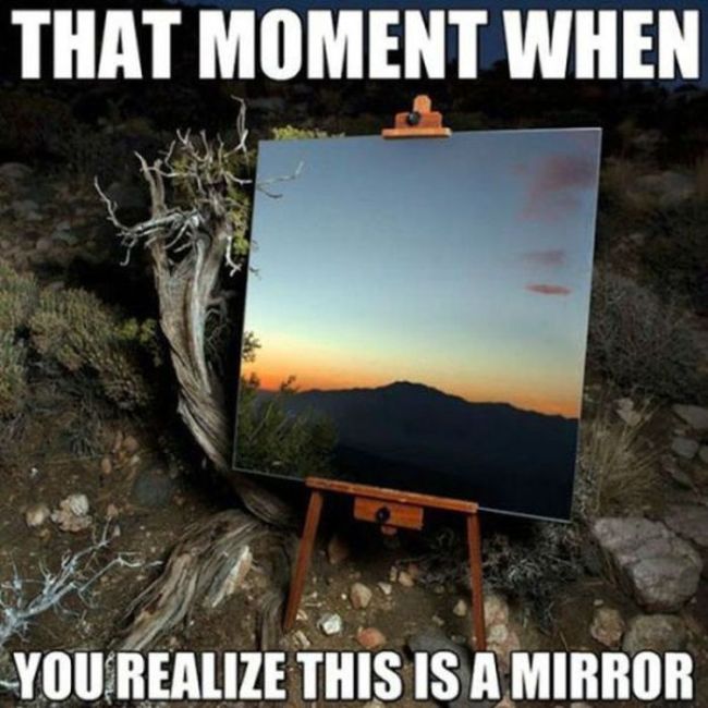 Things You Will Struggle to Believe (44 pics)