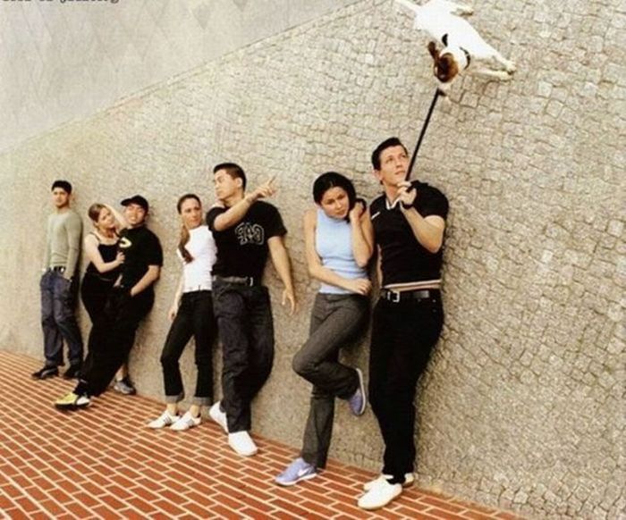 Things You Will Struggle to Believe (44 pics)