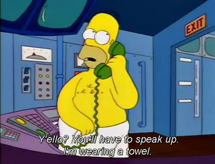 Top 100 Simpsons Quotes (100 pics)