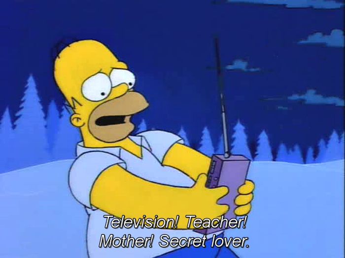 Top 100 Simpsons Quotes (100 pics)