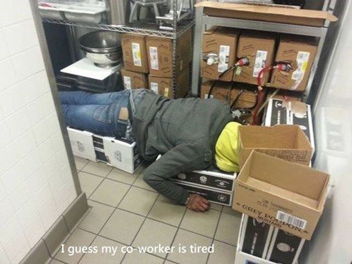 Work Fails & Job LOLs. Part 19 (46 pics)