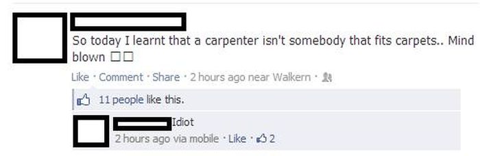This Post is About Idiots (30 pics)