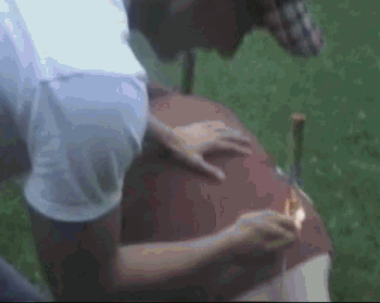 This Post is About Idiots (30 pics)