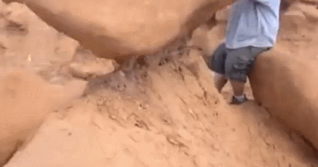 This Post is About Idiots (30 pics)
