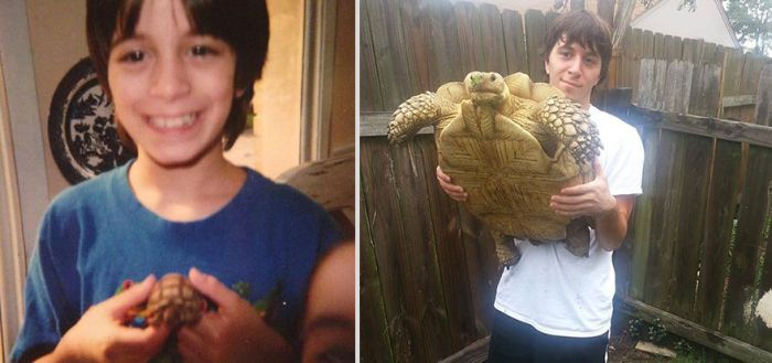 Before And After Pictures Of Animals Growing Up (22 pics)