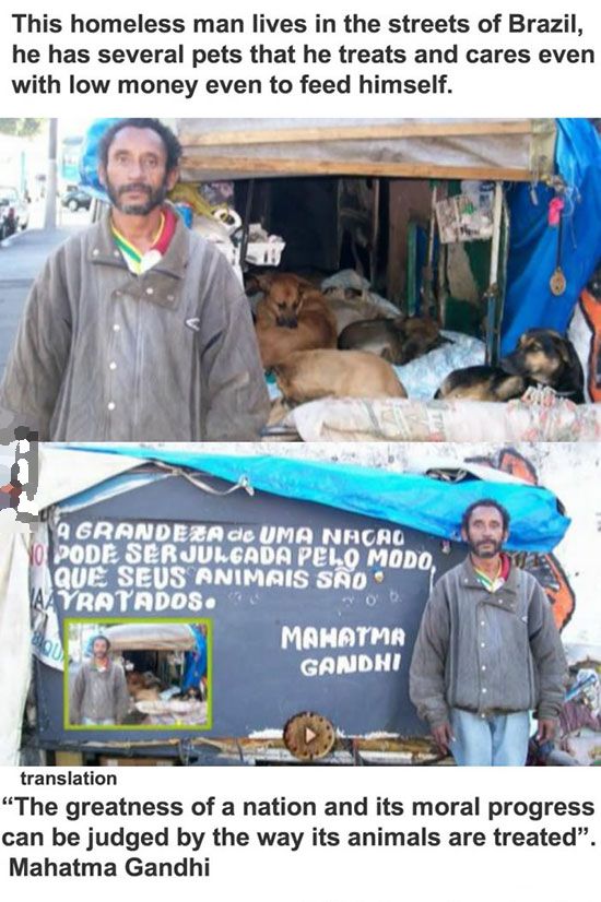 Faith in Humanity Restored. Part 11 (29 pics)