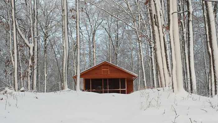 Cabin in the Woods (12 pics)