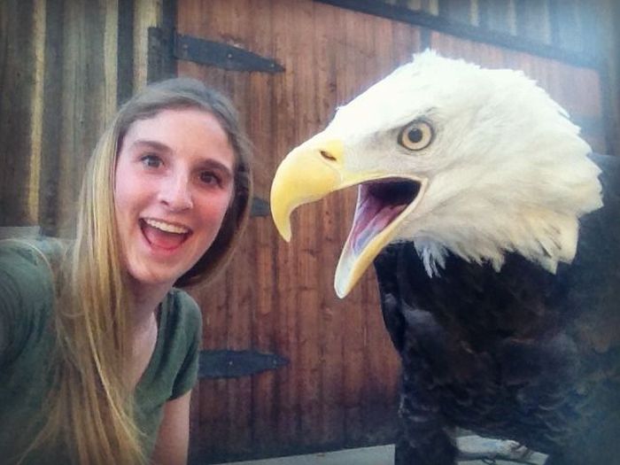 Girl vs Eagle (3 pics)