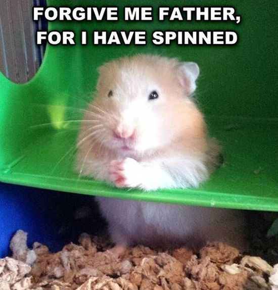 Photos with Captions (40 pics)