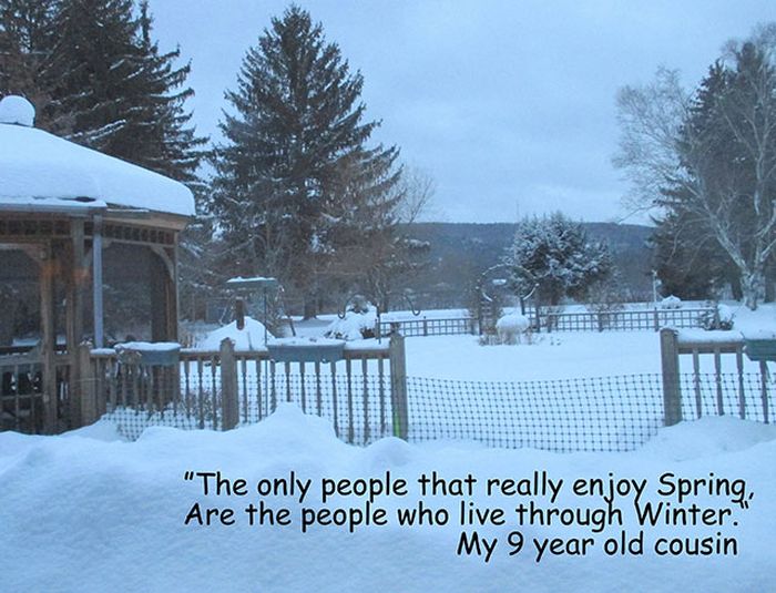 Motivation Pictures. Part 19 (23 pics)
