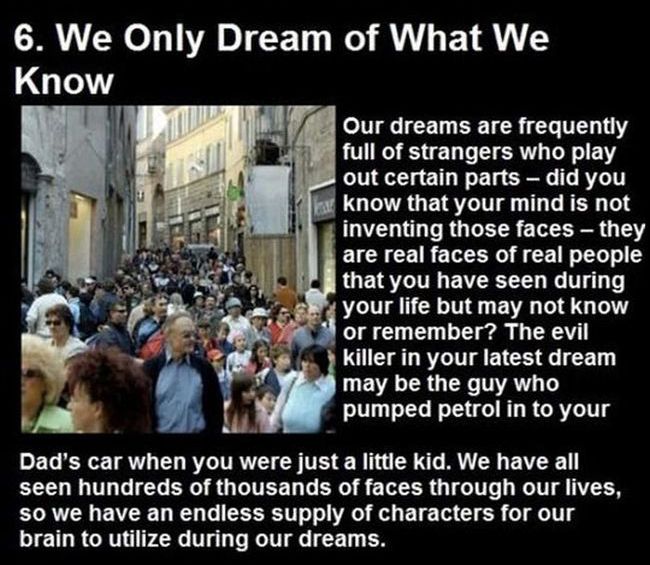Dream Facts (10 pics)