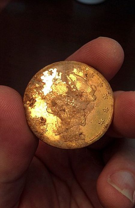 California Couple Finds $10M in Gold Coins (11 pics)