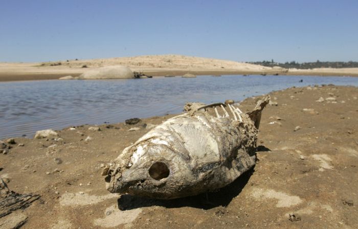 Folsom Lake (15 pics)