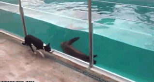 Acid Gifdump, February 27, 2014 (25 gifs)