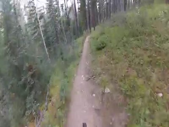 Grizzly Bear Scares Mountain Bikers