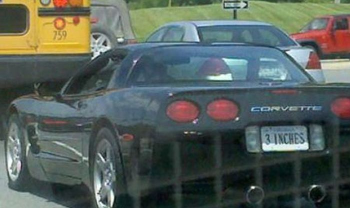 Funny License Plates. Part 3 (34 pics)