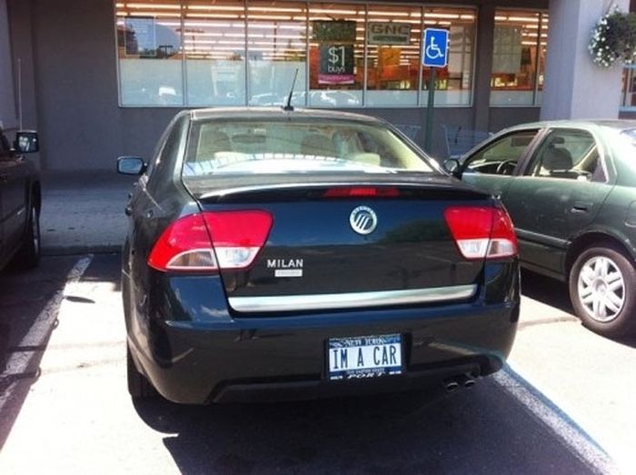 Funny License Plates. Part 3 (34 pics)