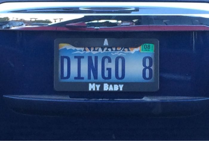 Funny License Plates. Part 3 (34 pics)