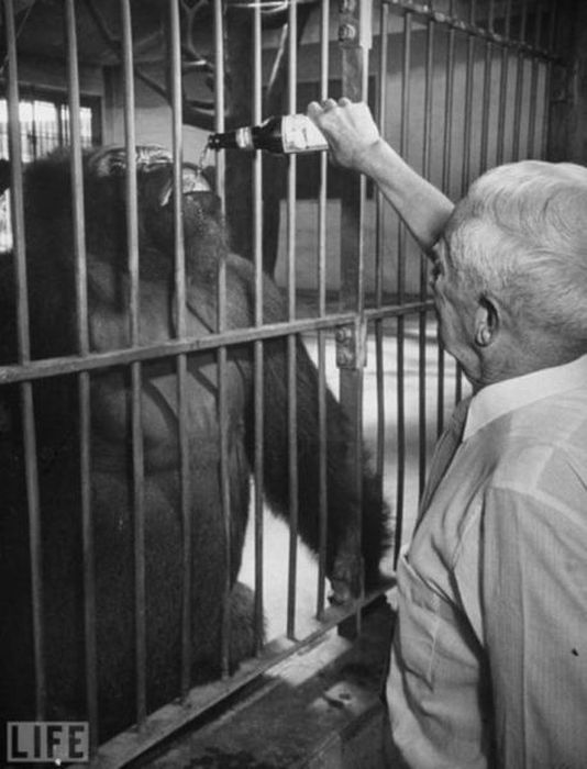 Interesting Historical Photos  (45 pics)