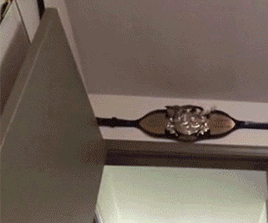 Did It Ever Happen to You When... Part 79 (16 gifs)
