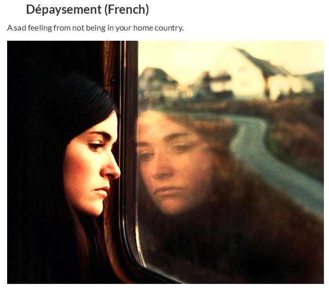 Cool Words from Other Languages (30 pics)