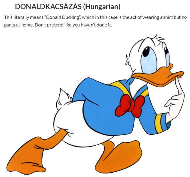 Cool Words from Other Languages (30 pics)