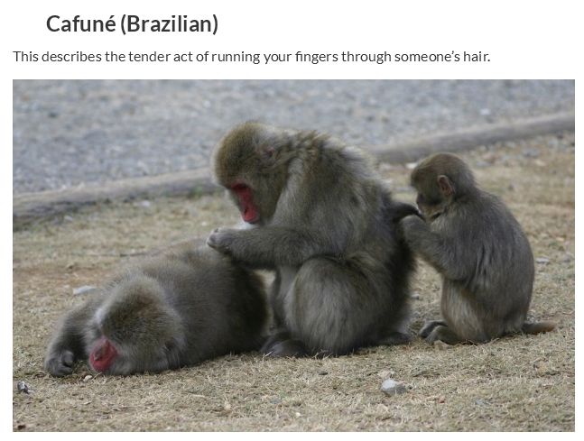 Cool Words from Other Languages (30 pics)