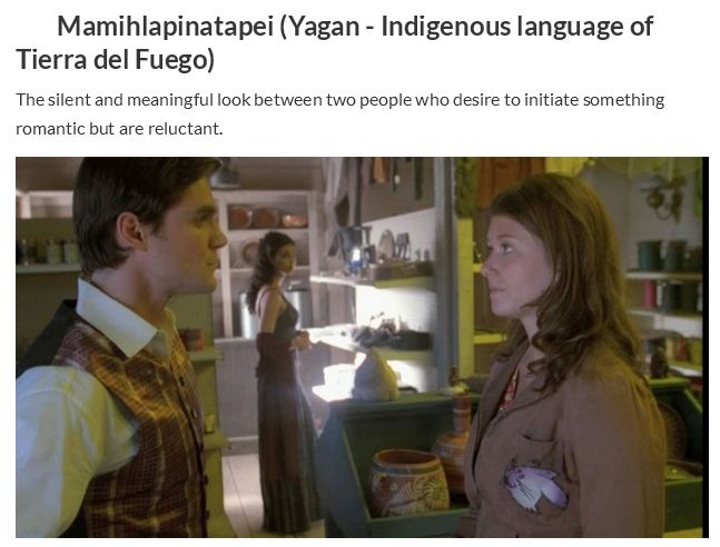 Cool Words from Other Languages (30 pics)