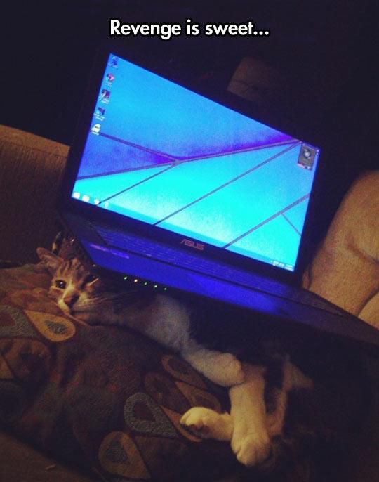 Call It Revenge or Call It Karma (40 pics)