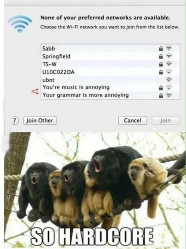Funny Pictures About Hotspot and WiFi (24 pics)
