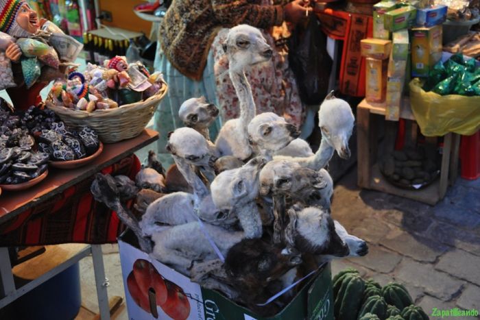 Witchcraft Markets (28 pics)