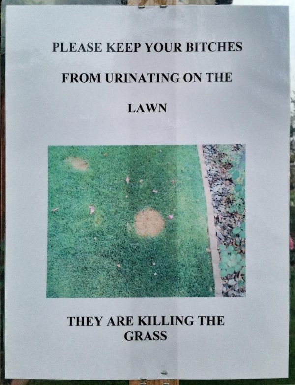 Why We Hate Neighbors (28 pics)