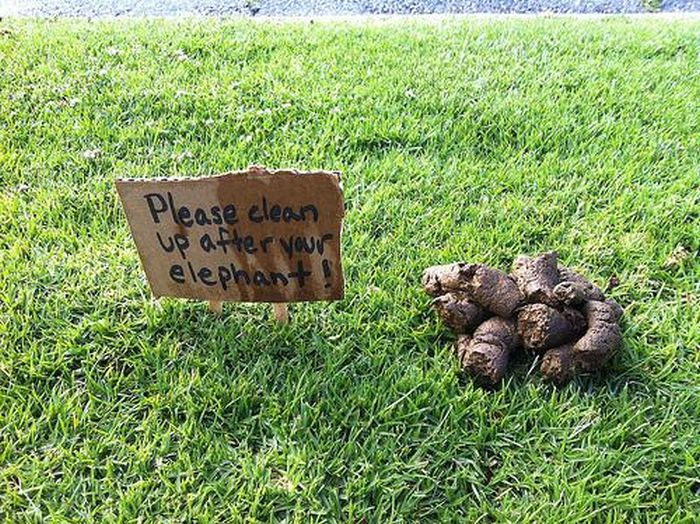 Why We Hate Neighbors (28 pics)