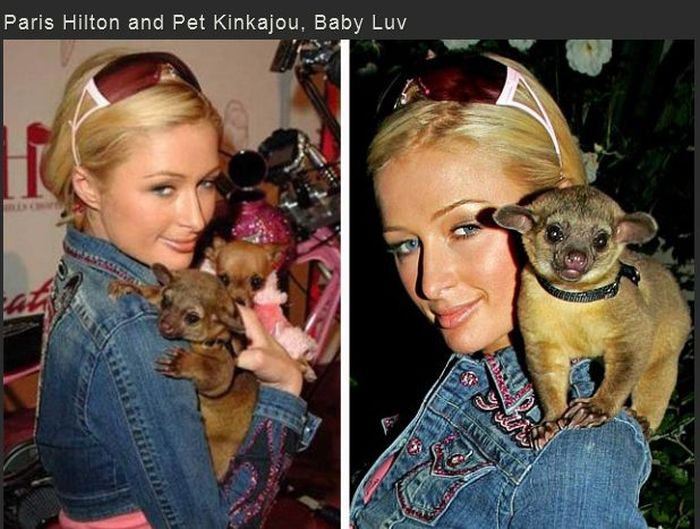 Famous People with Exotic Pets (20 pics)
