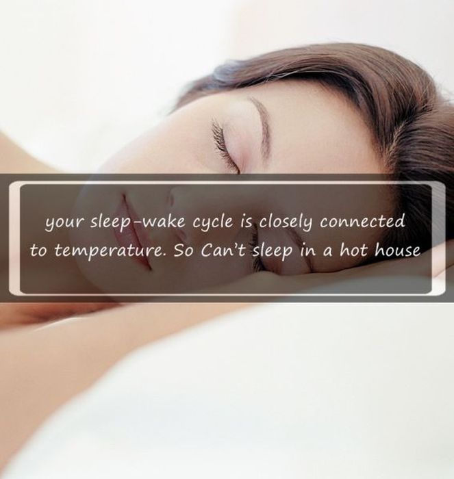 Interesting Facts about Sleeping (18 pics)