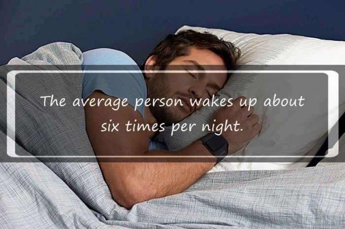 Interesting Facts about Sleeping (18 pics)