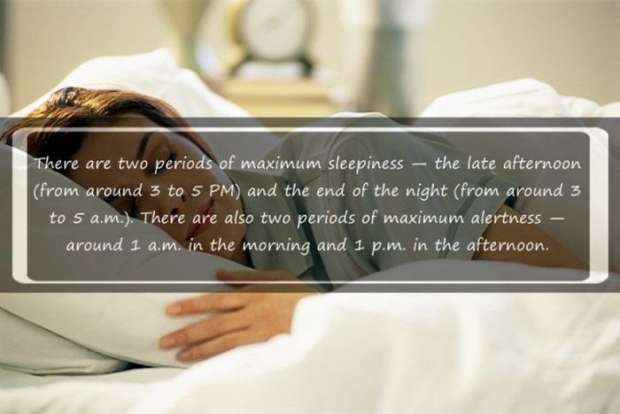 Interesting Facts about Sleeping (18 pics)