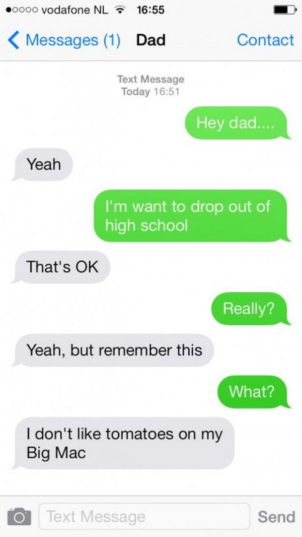 Dads Are Not The Best Parents (28 pics)