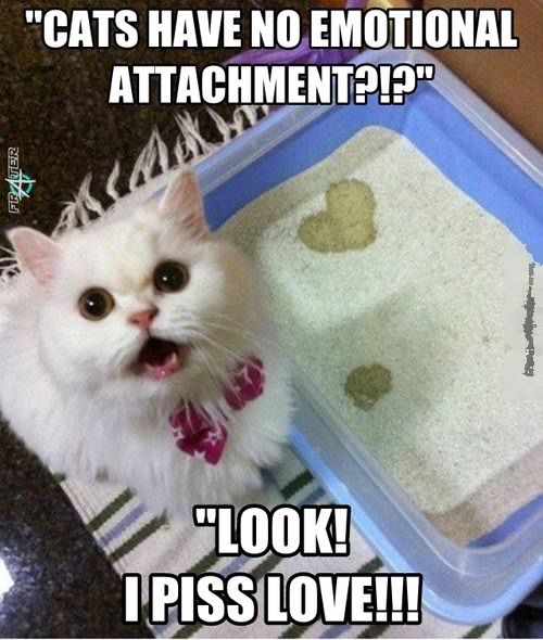 Acid Picdump (96 pics)