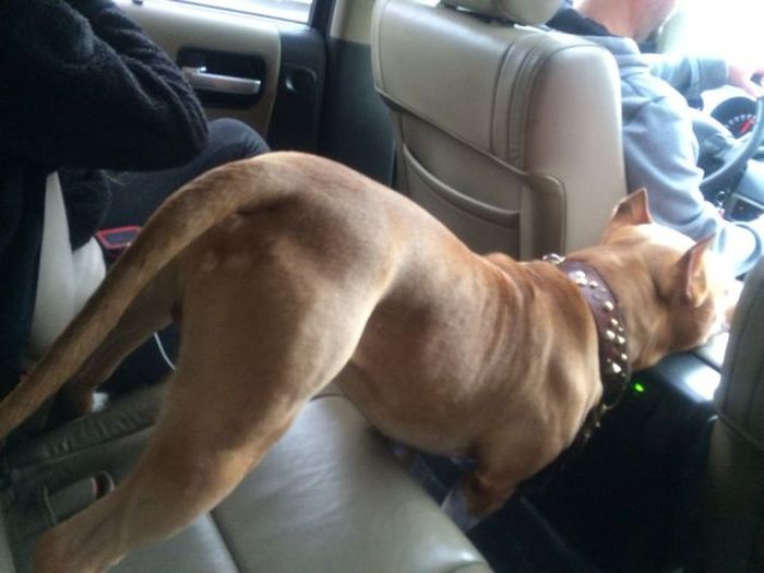 Acid Picdump (96 pics)