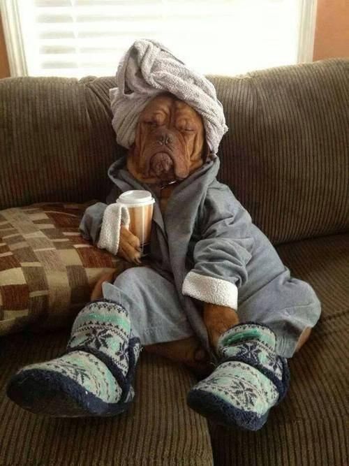 Acid Picdump (96 pics)