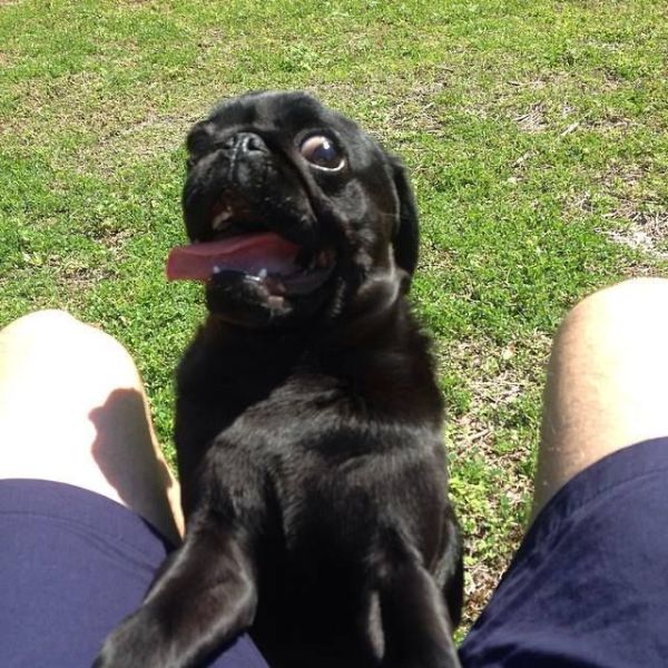 Acid Picdump (96 pics)