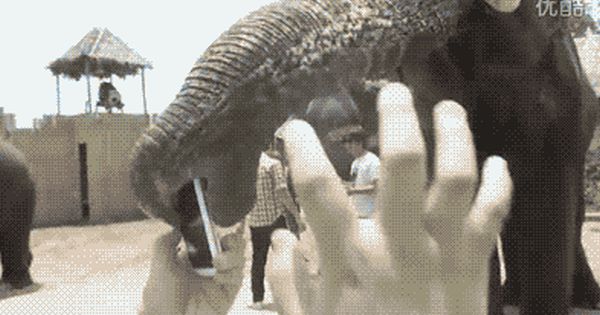 Bad Luck (22 gifs)